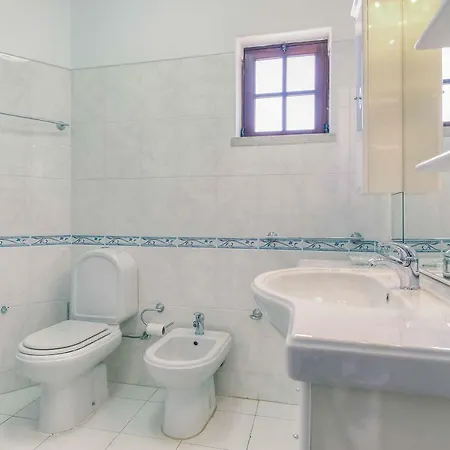 Antao فيلة جويا